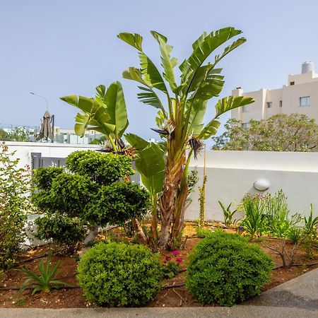 Fig Tree Bay Residences 5 프로타라스 외부 사진